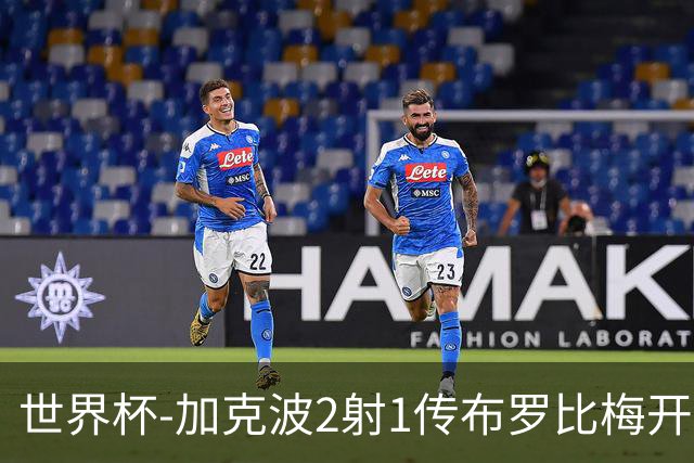 世界杯-加克波2射1传布罗比梅开二度 荷兰5-1大胜瑞典
