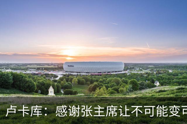 卢卡库：感谢张主席让不可能变可能 会全力帮国米